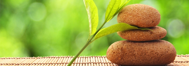 Chiropractic Cockeysville MD Rock And Stone Tan rocks with leaves.